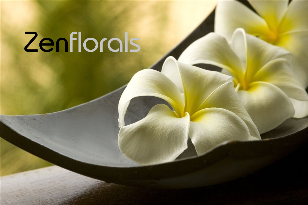 zenflorals - facebook coverpage.jpg